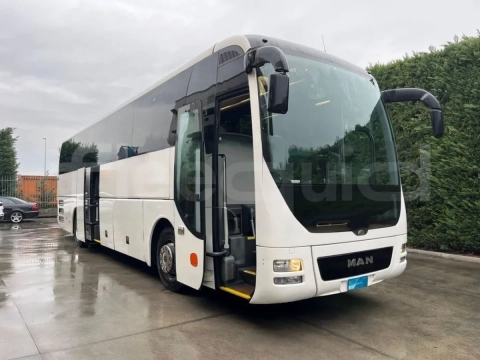 Man Lion's Coach