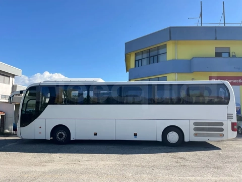 Man Lion's Coach