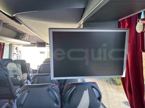 Man Lion's Coach