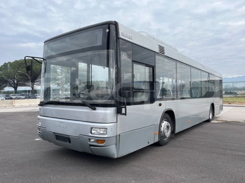 Man Lion's Classic