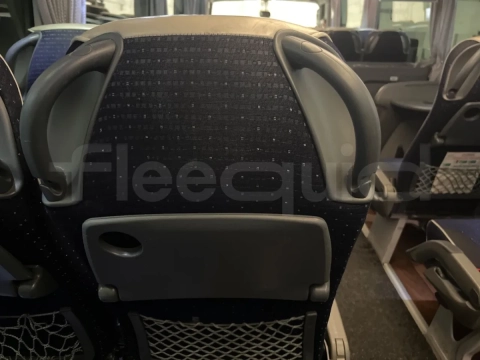 Man Lion's Coach