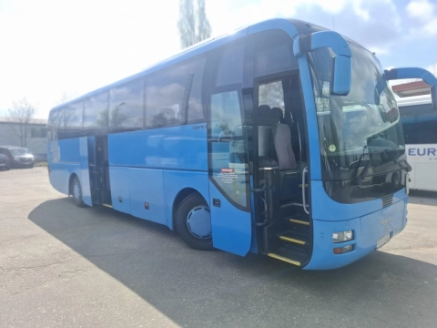 MAN LION'S COACH