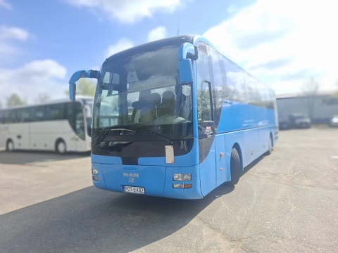 MAN LION'S COACH