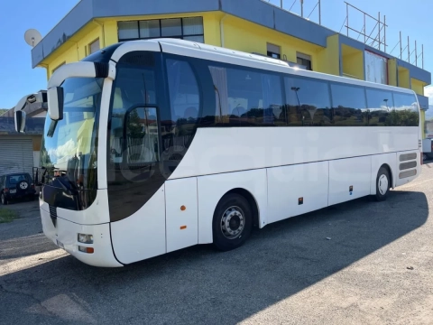 Man Lion's Coach