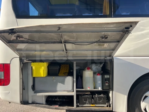 Man Lion's Coach