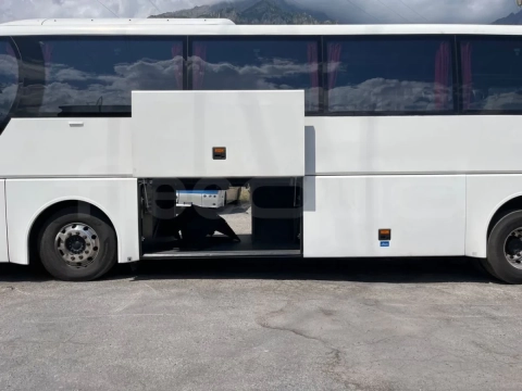 Man Lion's Coach