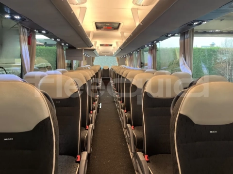 Man Lion's Coach