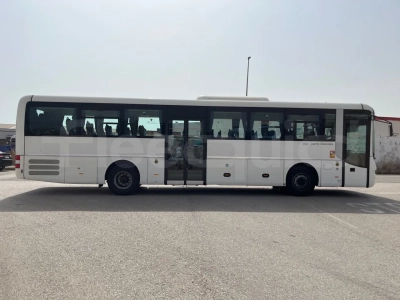 Man Lion's Intercity
