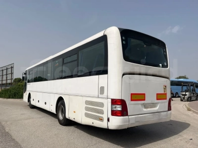 Man Lion's Intercity