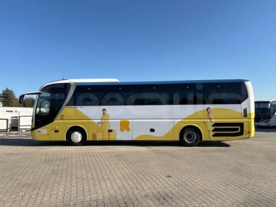 Man Lion's Coach