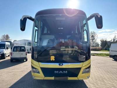 Man Lion's Coach