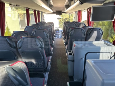 Man Lion's Coach