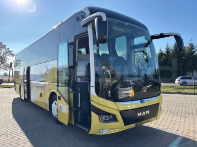 Man Lion's Coach