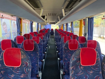 Man Lion's Coach