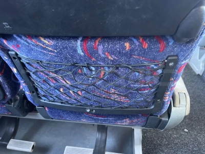 Man Lion's Coach