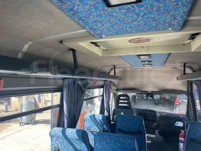 Iveco A50