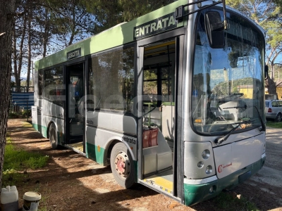 Iveco Cacciamali