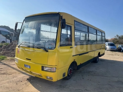 Iveco Cacciamali