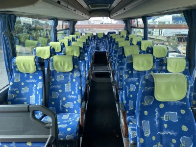 Irisbus Domino 2001