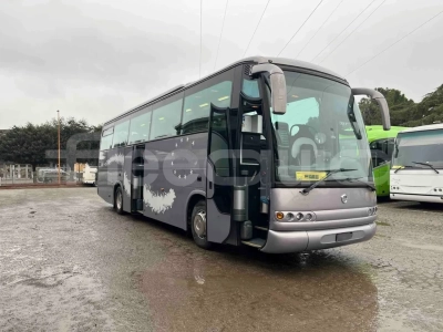 Irisbus Domino